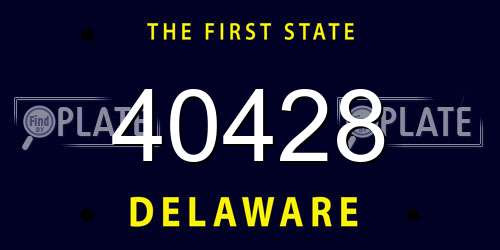 40428 Delaware License Plate