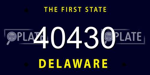 40430 Delaware License Plate