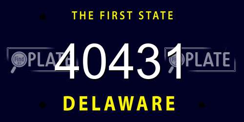 40431 Delaware License Plate