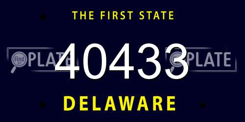 40433 Delaware License Plate