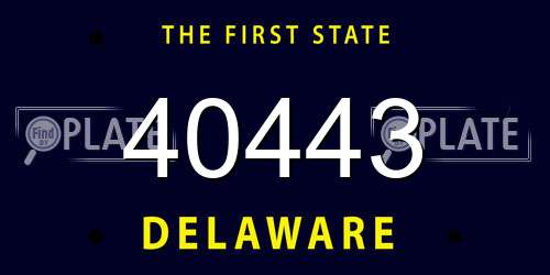 40443 Delaware License Plate