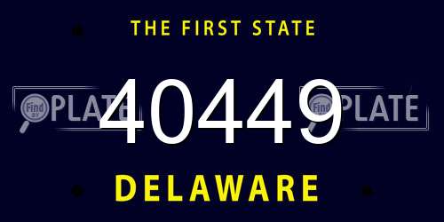 40449 Delaware License Plate