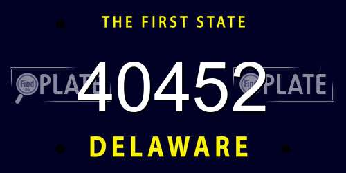 40452 Delaware License Plate