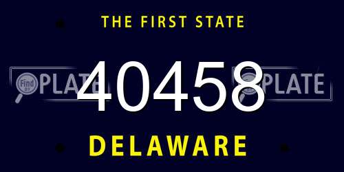 40458 Delaware License Plate