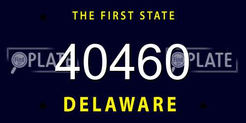 40460 Delaware License Plate
