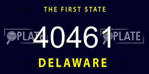 40461 Delaware License Plate