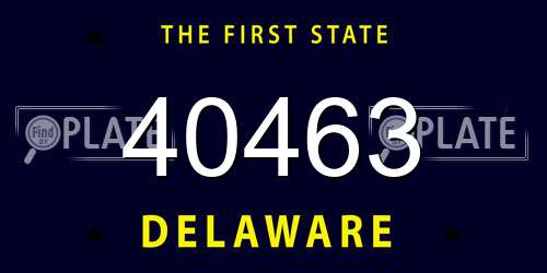40463 Delaware License Plate
