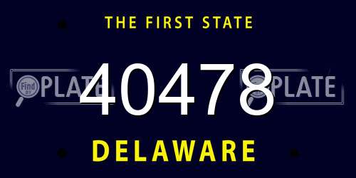 40478 Delaware License Plate