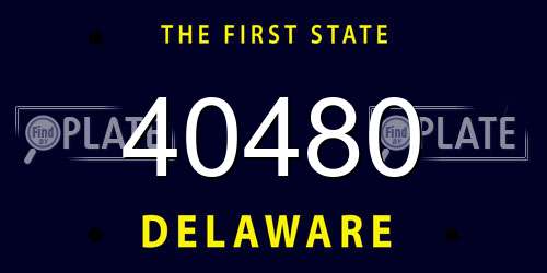 40480 Delaware License Plate