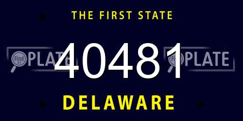 40481 Delaware License Plate