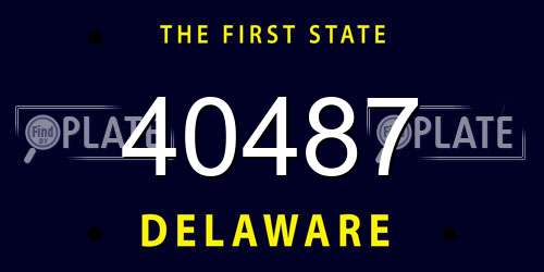 40487 Delaware License Plate