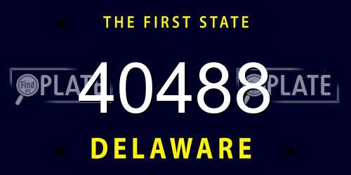 40488 Delaware License Plate