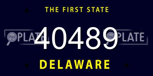 40489 Delaware License Plate