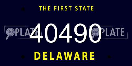 40490 Delaware License Plate