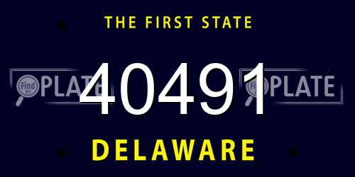 40491 Delaware License Plate