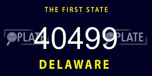40499 Delaware License Plate
