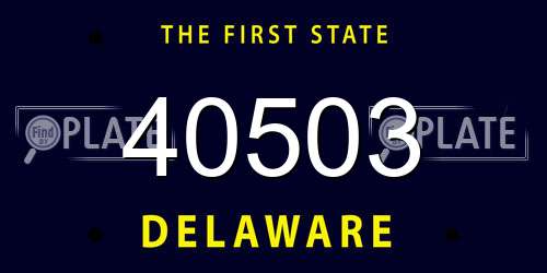 40503 Delaware License Plate