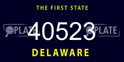 40523 Delaware License Plate