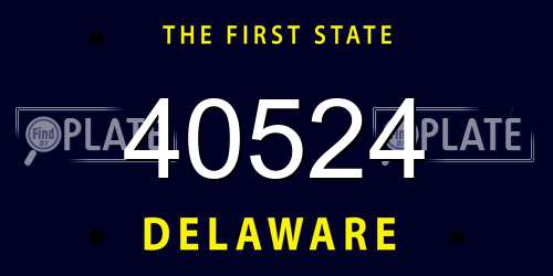 40524 Delaware License Plate