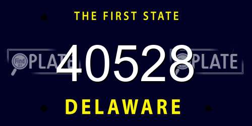 40528 Delaware License Plate