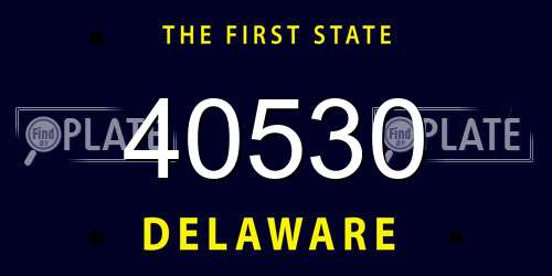 40530 Delaware License Plate