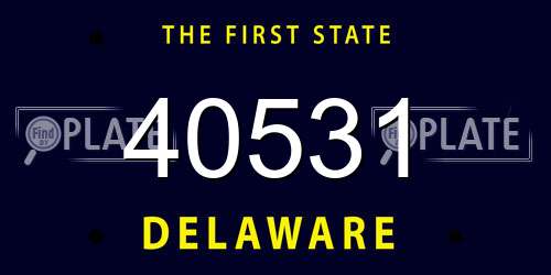 40531 Delaware License Plate