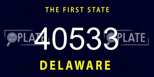 40533 Delaware License Plate
