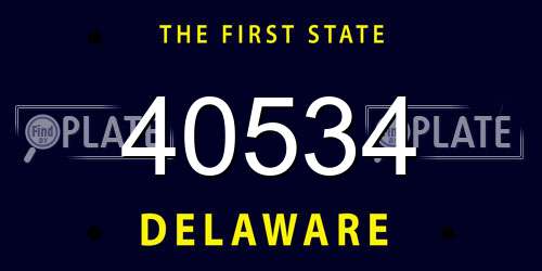 40534 Delaware License Plate