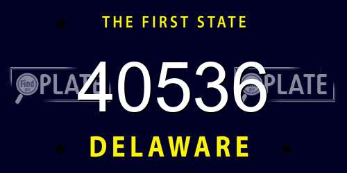 40536 Delaware License Plate