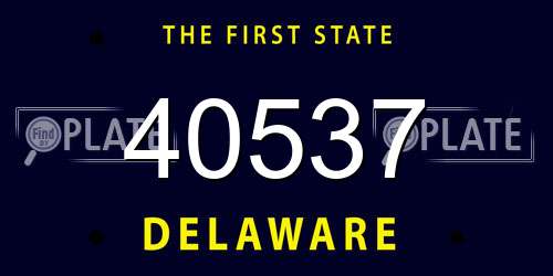 40537 Delaware License Plate
