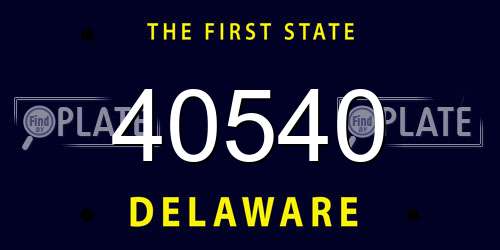 40540 Delaware License Plate