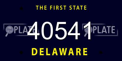 40541 Delaware License Plate