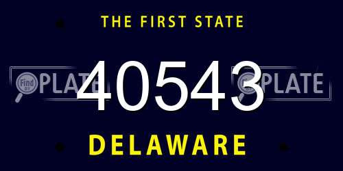 40543 Delaware License Plate