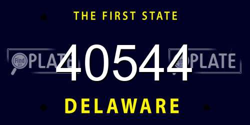 40544 Delaware License Plate