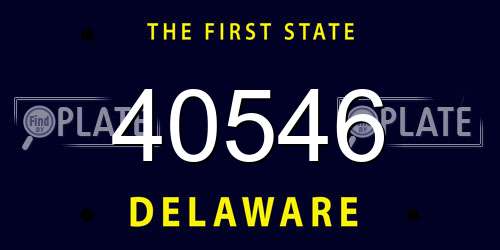40546 Delaware License Plate