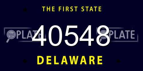 40548 Delaware License Plate