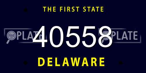 40558 Delaware License Plate