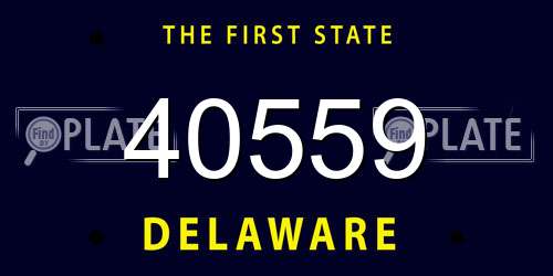 40559 Delaware License Plate