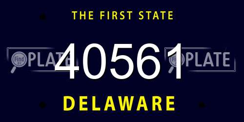40561 Delaware License Plate