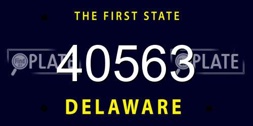 40563 Delaware License Plate