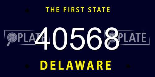 40568 Delaware License Plate