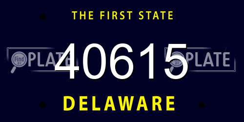 40615 Delaware License Plate