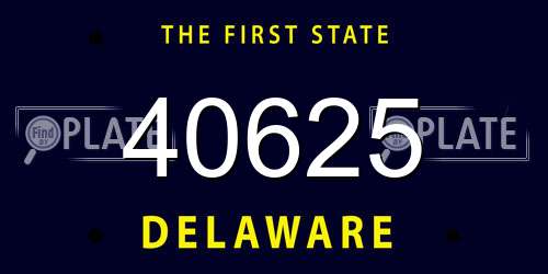 40625 Delaware License Plate