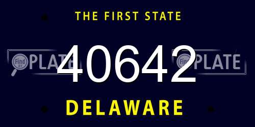 40642 Delaware License Plate