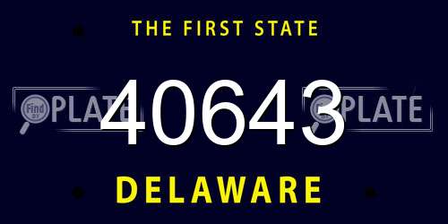 40643 Delaware License Plate