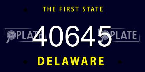 40645 Delaware License Plate