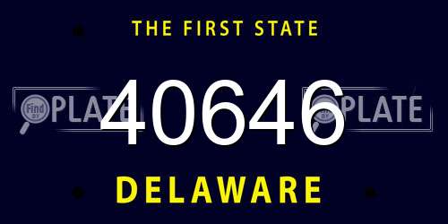 40646 Delaware License Plate