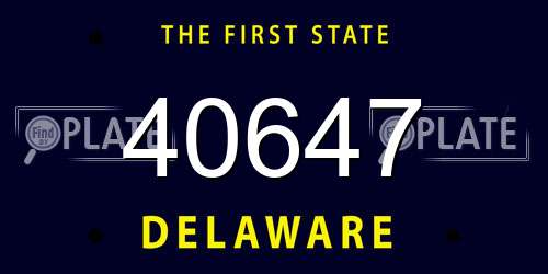 40647 Delaware License Plate