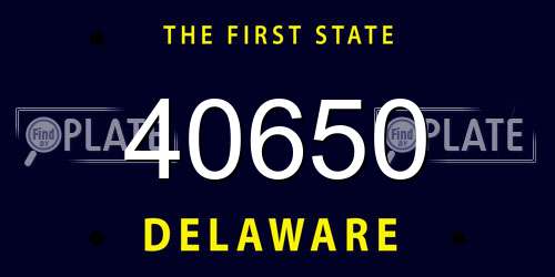 40650 Delaware License Plate