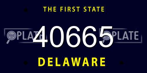 40665 Delaware License Plate